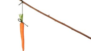 franklin music academy Intrinsic Motivation and its Misappropriation